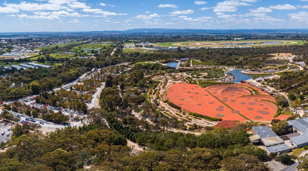 Wide aerial panorama of Australian Desert display at Royal Botanic Gardens in Cranbourne, VIctoria, Australia