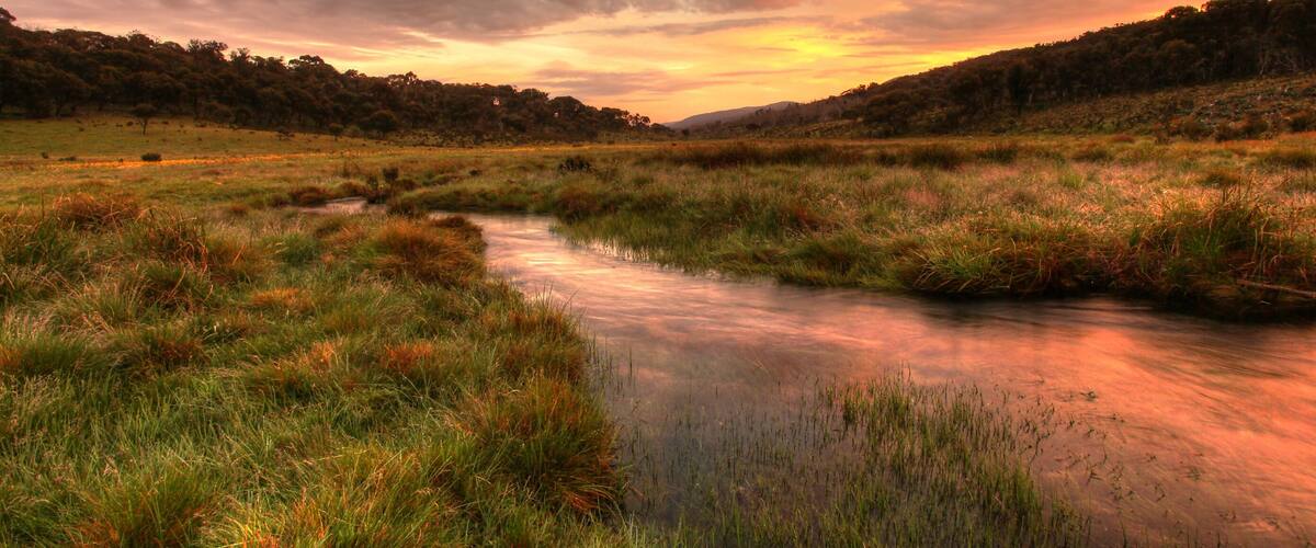 A river meandering through a grassy landscape with trees in the background and a sunset sky.