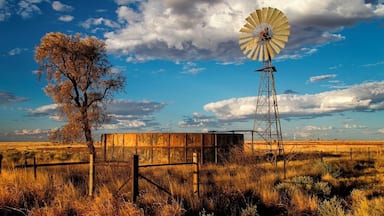 The heart of Channel Country, this country town is a reminder how vast and hot Australia is.