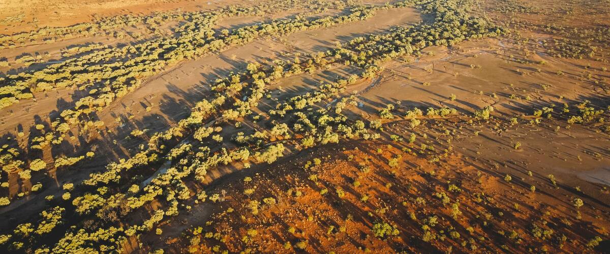 Drone photography of the bush at sunrise inbetween Bedourie and Boulia, Queensland, Australia
