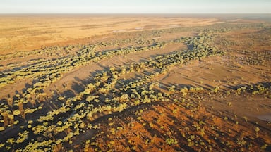 Drone photography of the bush at sunrise inbetween Bedourie and Boulia, Queensland, Australia