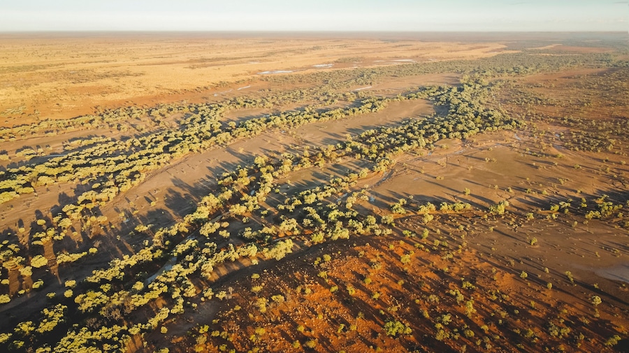Drone photography of the bush at sunrise inbetween Bedourie and Boulia, Queensland, Australia