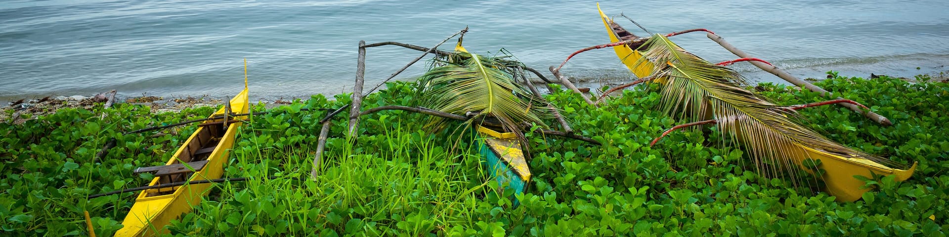 Yellow Wooden Fishing Boats Beached by a Glassy Philippine Sea