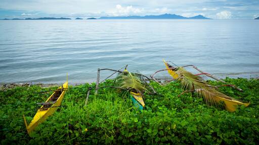 ์นผ๋ฐ์๊ทธ