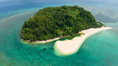Top view of island in the blue sea with atoll and the beach. Agutaya island, Philippines.