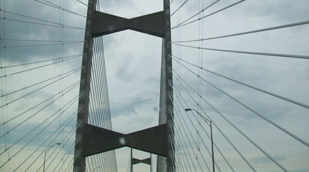 The suspension wire. Julie took these pictures because, of course I was driving.