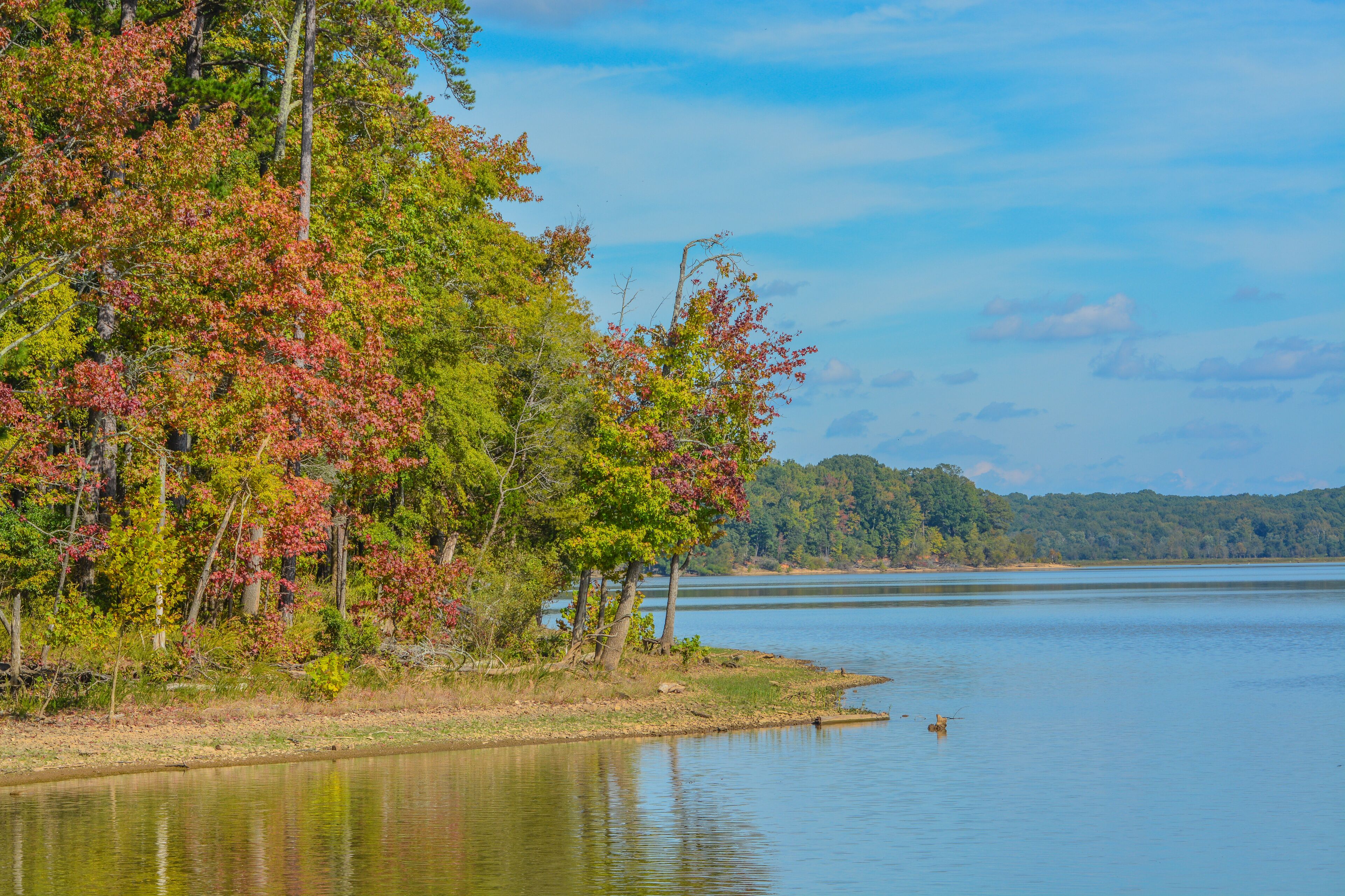 The trees Fall colorful leaves on the shore of Staunton River State Park in Halifax County, Virginia