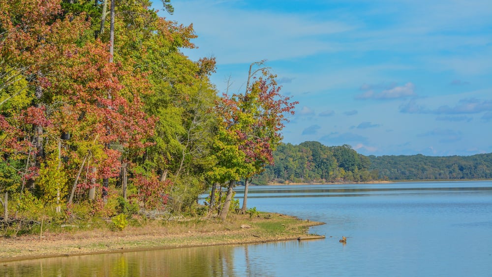 The trees Fall colorful leaves on the shore of Staunton River State Park in Halifax County, Virginia