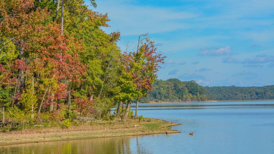 A calm lake with autumn foliage and a clear sky.