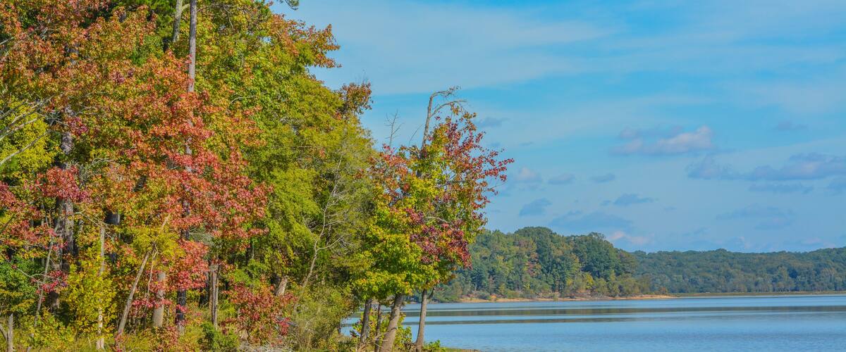 The trees Fall colorful leaves on the shore of Staunton River State Park in Halifax County, Virginia