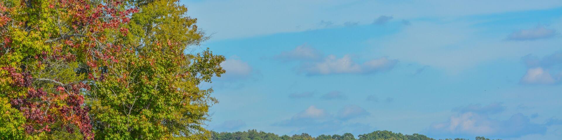 The trees Fall colorful leaves on the shore of Staunton River State Park in Halifax County, Virginia