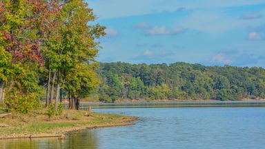 The trees Fall colorful leaves on the shore of Staunton River State Park in Halifax County, Virginia
