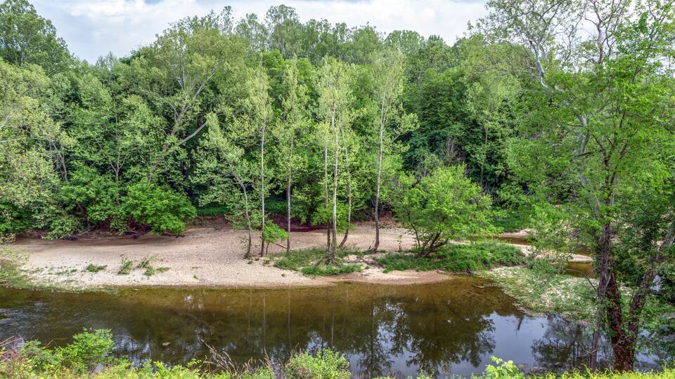 A river surrounded by dense forest with a sandy bank and a clear sky.