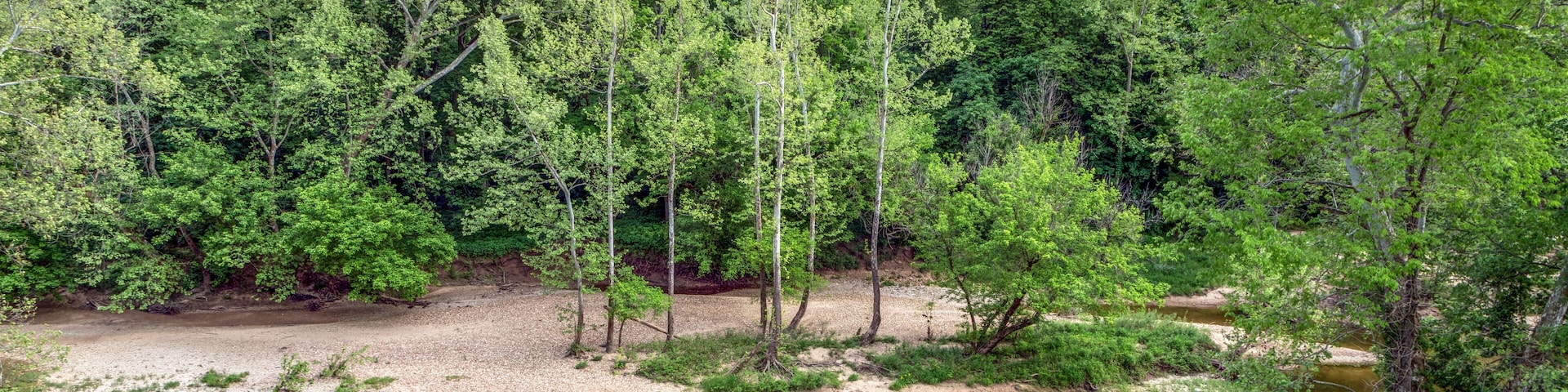 The Muscatatuck River flows through a park with beautiful woods near North Vernon in Jennings County, Indiana.