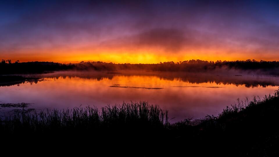 A serene lake at sunset with a reflection of the sky, surrounded by trees and vegetation.