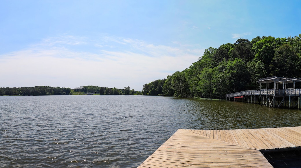 a panoramic shot of the rippling blue waters of Lake Acworth with a brown wooden bridge and dock surrounded by lush green trees, grass and plants with blue sky and clouds at Cauble Park in Acworth
