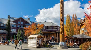 Whistler Olympic Plaza which includes street scenes and indigenous culture as well as a couple