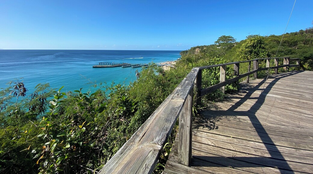 You can jump off the dock and snorkel or scuba dive it’s a pretty active beach