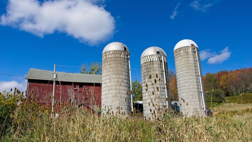Three silos, a red barn, and a clear blue sky with clouds.