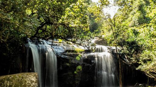 Discovering the beautiful Zomba Nature Reserve, Malawi