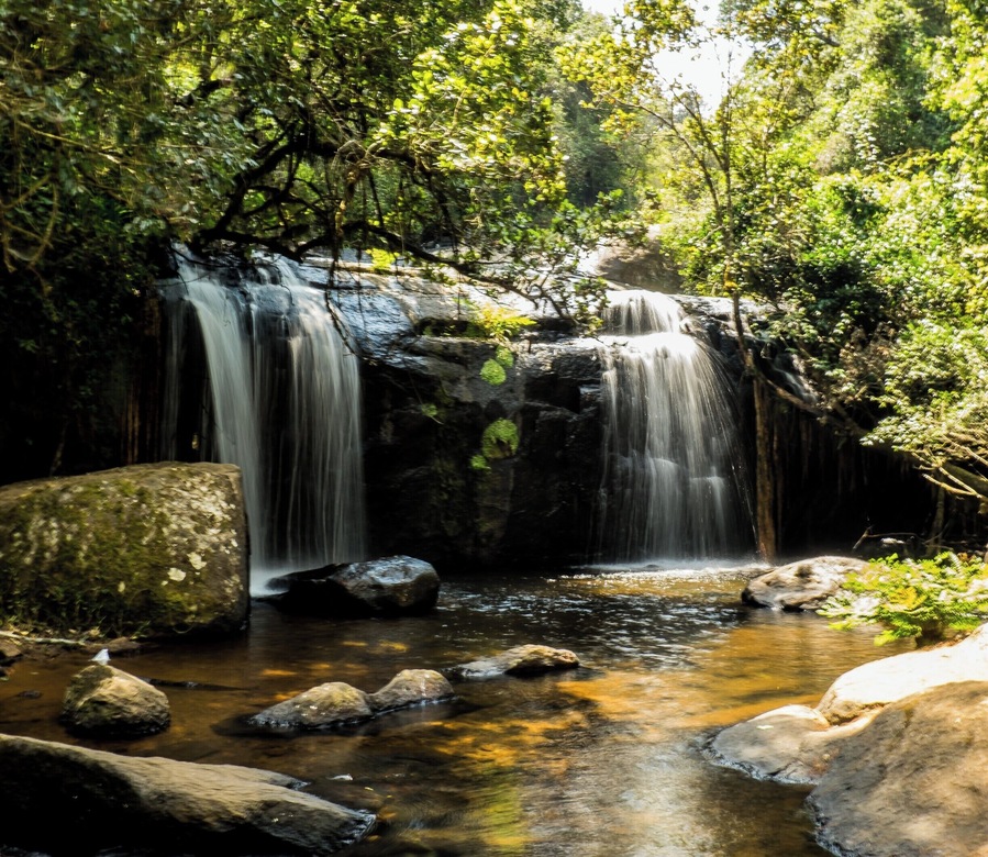 Discovering the beautiful Zomba Nature Reserve, Malawi
