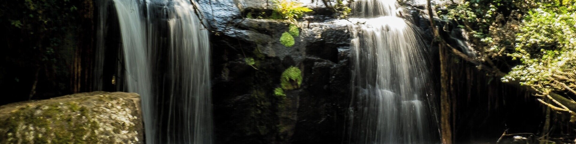 Discovering the beautiful Zomba Nature Reserve, Malawi