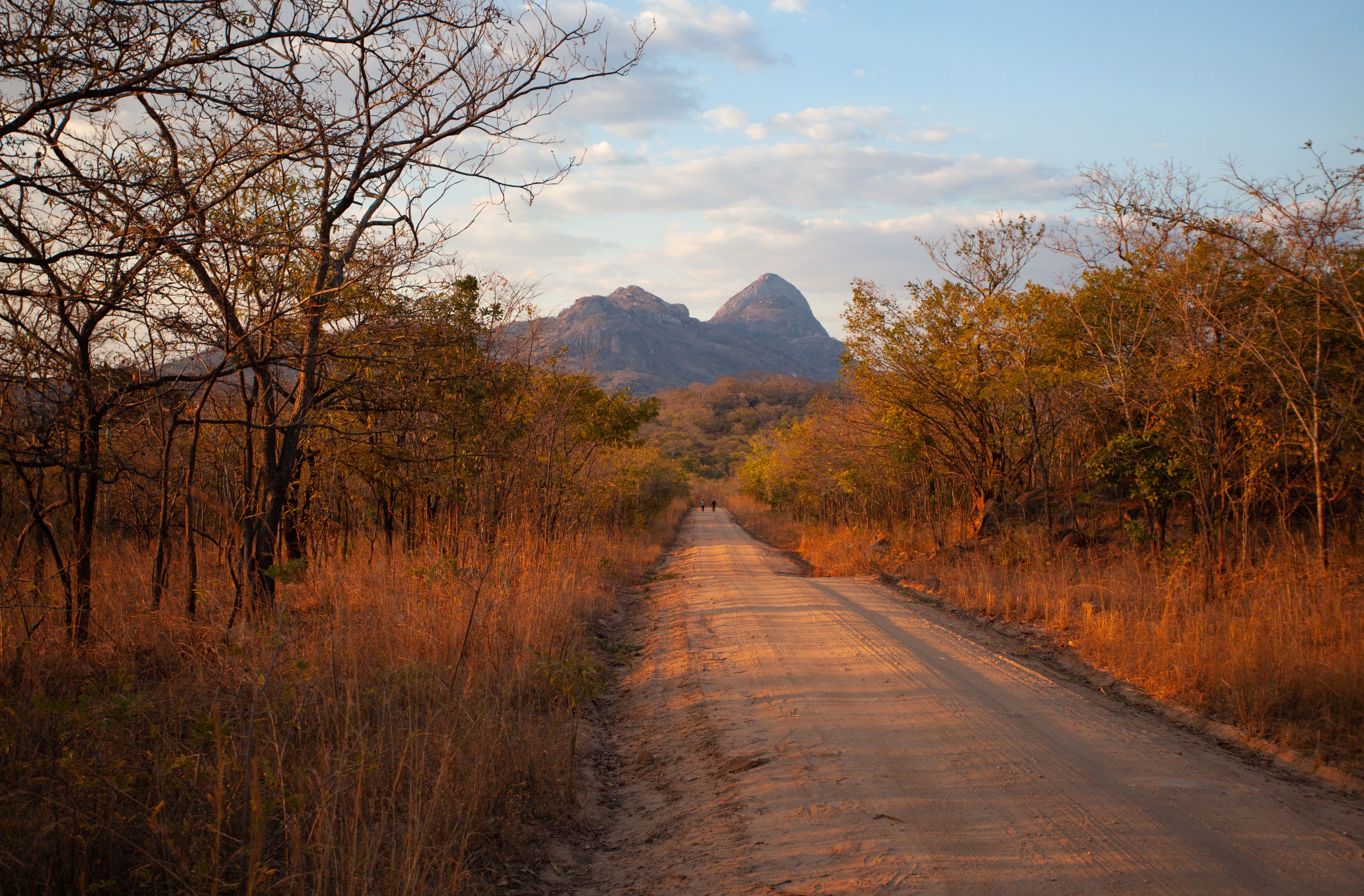 Uma estrada de terra acompanhada por árvores, conduzindo a uma cordilheira.