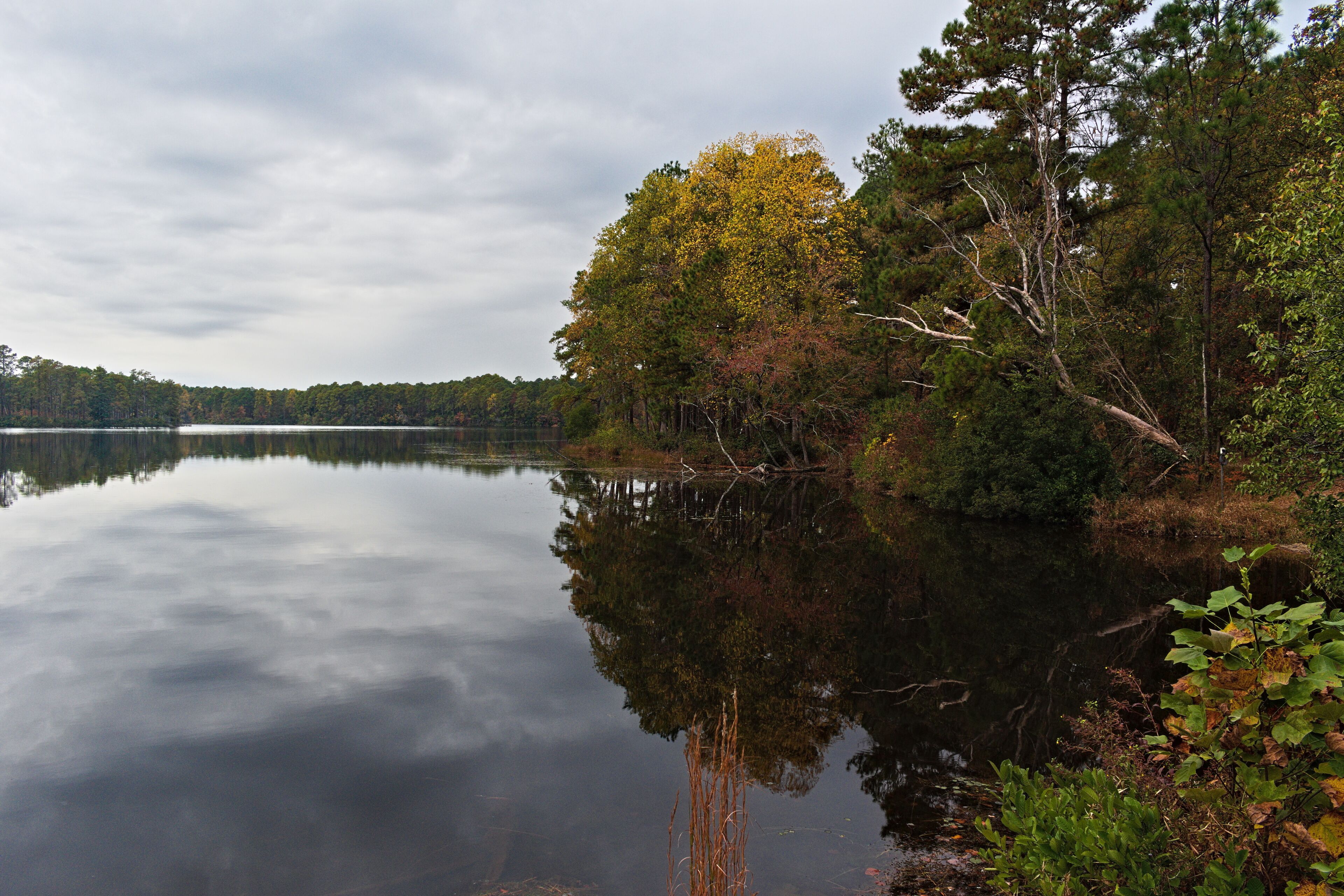 A reservoir pond with beautiful fall colored trees reflecting off of the smooth water on a overcast day.