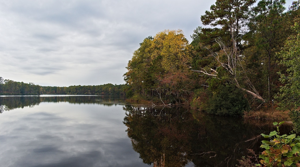 A reservoir pond with beautiful fall colored trees reflecting off of the smooth water on a overcast day.