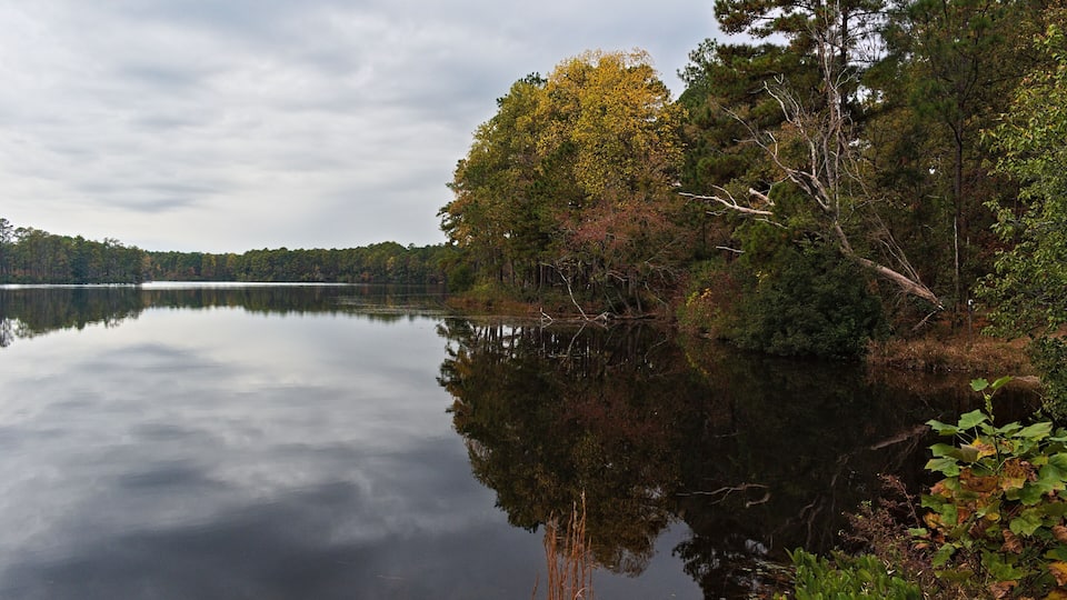A calm lake surrounded by trees with autumn foliage, a clear reflection on the water, and a cloudy sky.
