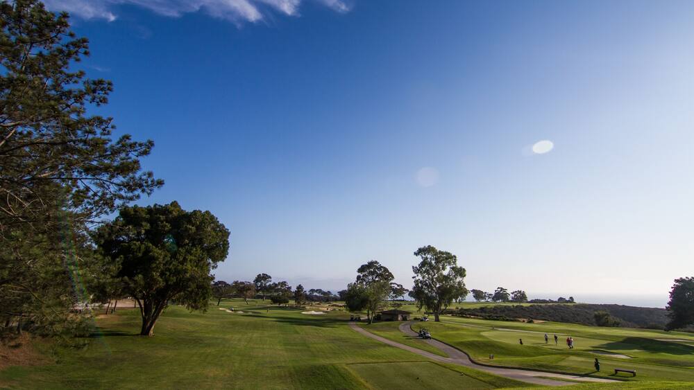Blue skies over a beautiful Southern California golf course with lush green grass and pine trees