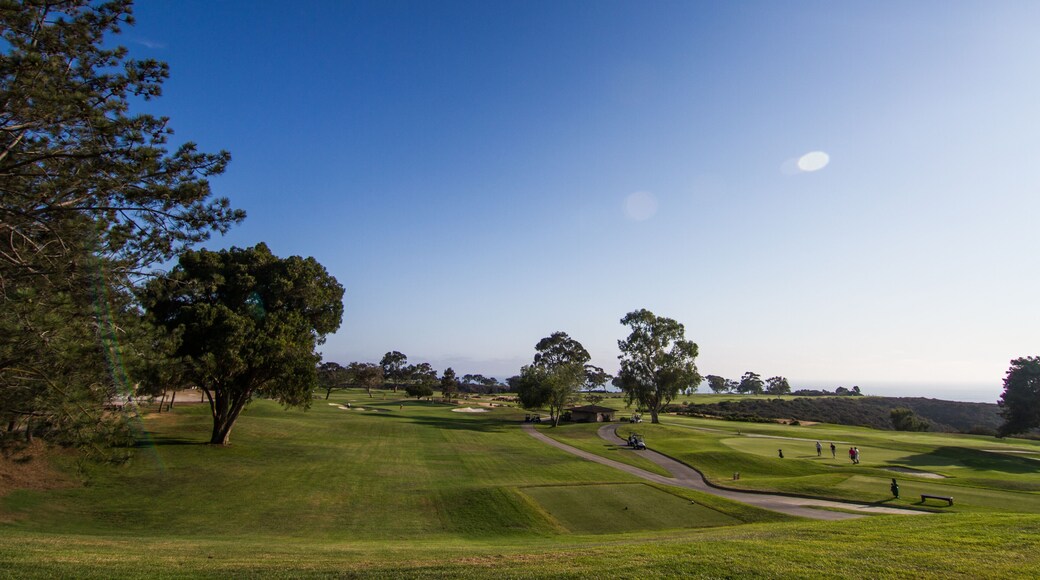 Blue skies over a beautiful Southern California golf course with lush green grass and pine trees