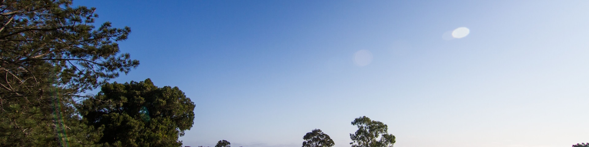 Blue skies over a beautiful Southern California golf course with lush green grass and pine trees