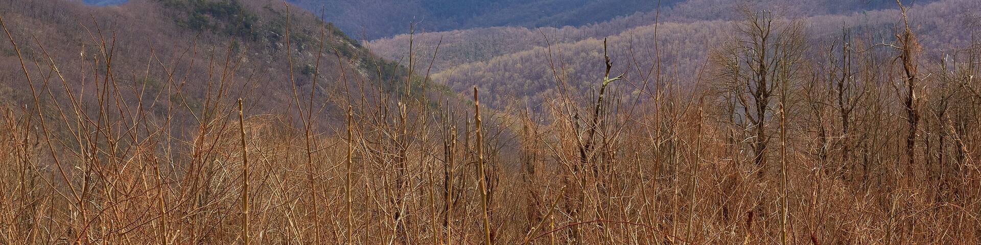 Scenic view of the Blue Ridge mountains from an overlook along the Blue Ridge Parkway near Wintergreen Resort, Virginia