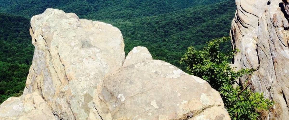 One of my favorite hikes around Charlottesville. Pick up a sandwich from Bellair in the morning and enjoy a picnic on the rocks. Then, stop by a brewery or winery on the way back to town.