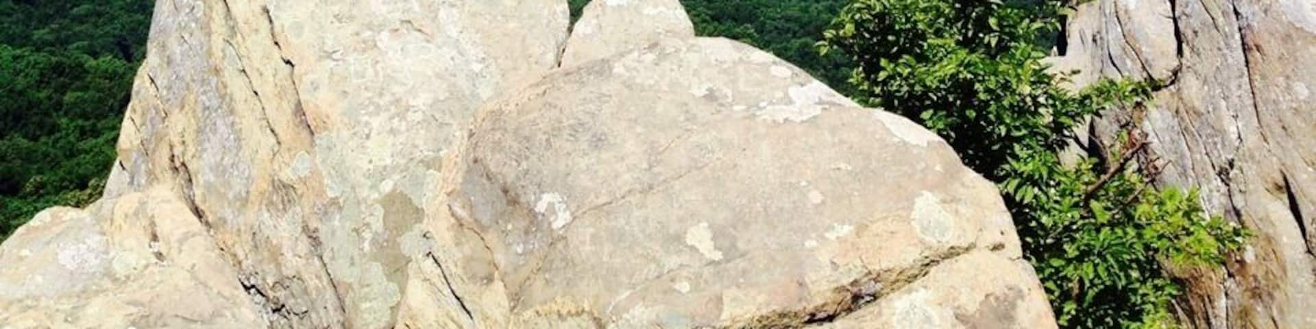 One of my favorite hikes around Charlottesville. Pick up a sandwich from Bellair in the morning and enjoy a picnic on the rocks. Then, stop by a brewery or winery on the way back to town.