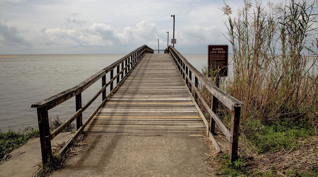 Daphne Alabama on crisp winter day at the municipal park.