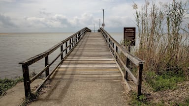 Daphne Alabama on crisp winter day at the municipal park.