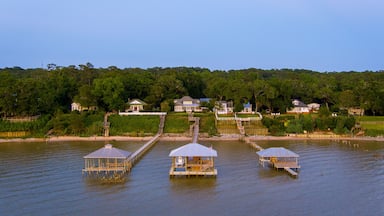 Houses on Mobile Bay