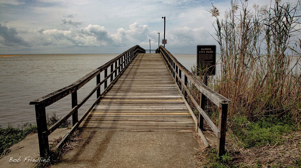 Off the beaten path in Daphne Alabama