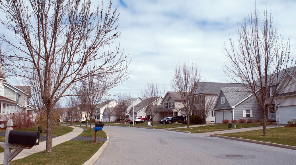 Peaceful American neighborhood during spring, South Burlington, Vermont, USA