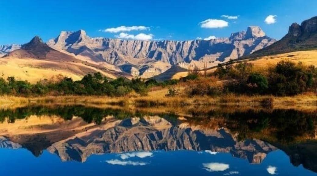 #LocalSecrets #SouthAfrica #mybackyard #imstaying