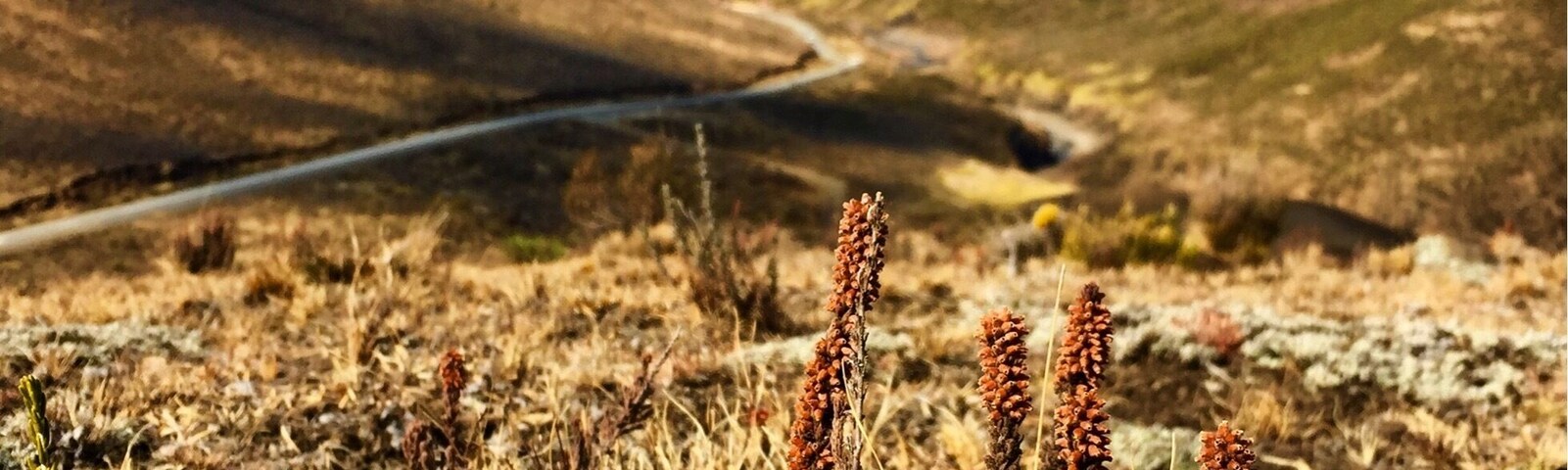 There is heaps of fantastic hiking in this area. Just follow the paths used by shepherds.