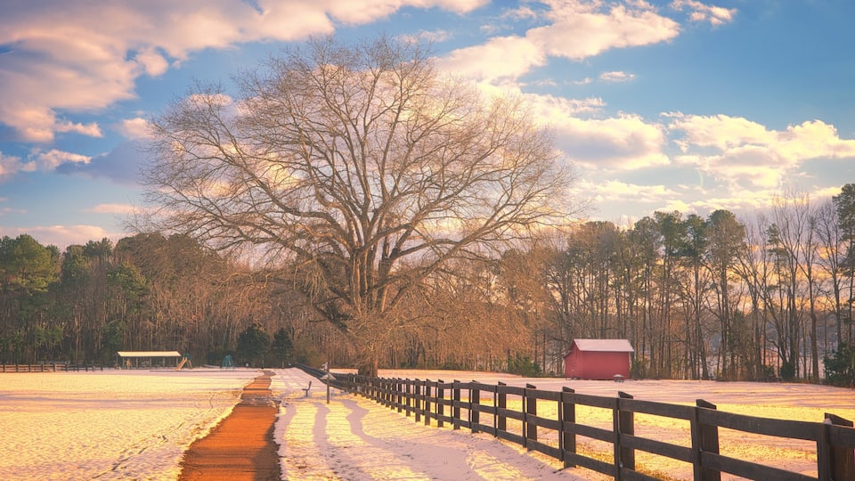 A snow-covered path with a wooden fence, a large tree, and a red barn in a rural landscape.