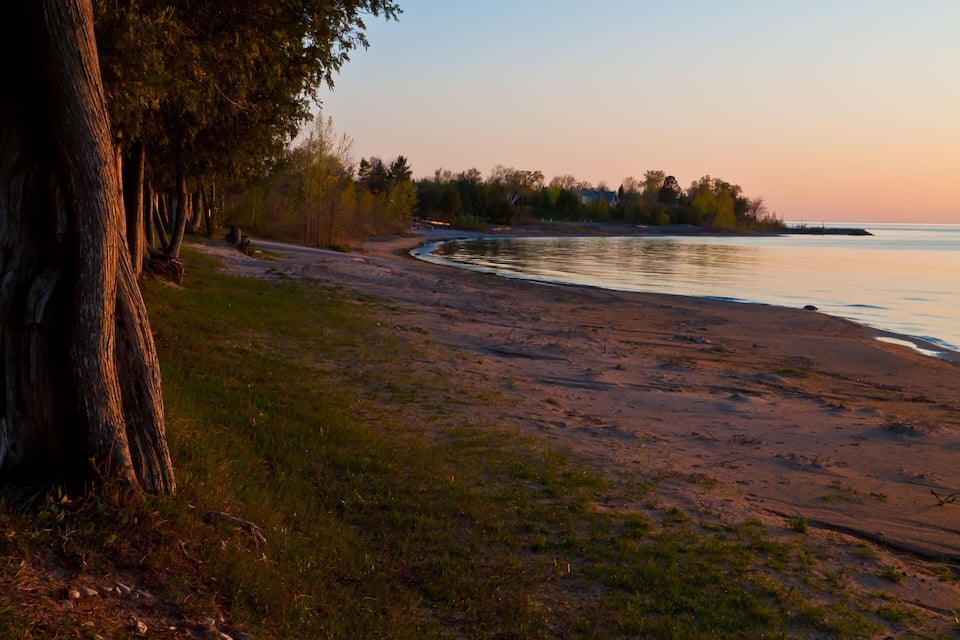 Una platja amb una filera d'arbres a l'esquerra, sorra i aigua tranquil·la.
