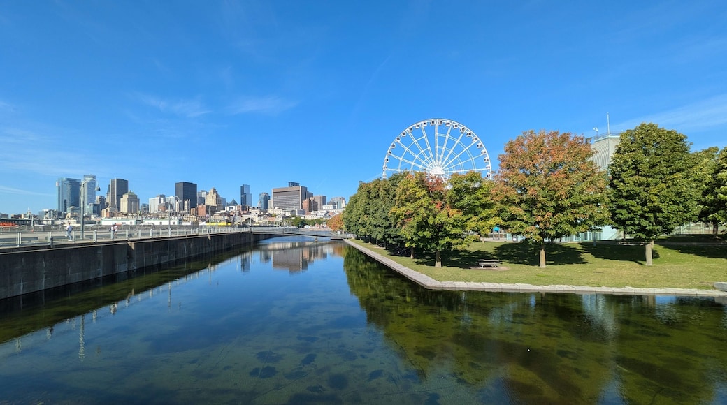 Une vue sur les gratte-ciel d’une ville, avec une grande roue bien visible, une rivière paisible qui reflète les bâtiments, et un parc avec des arbres et une pelouse.