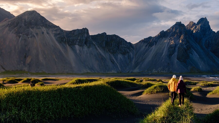 Two adventurers walk hand-in-hand on the striking black sand beach of Vestrahorn, surrounded by dramatic mountain peaks and vibrant green grass. Stokksnes beach Vestrahorn mountain Iceland