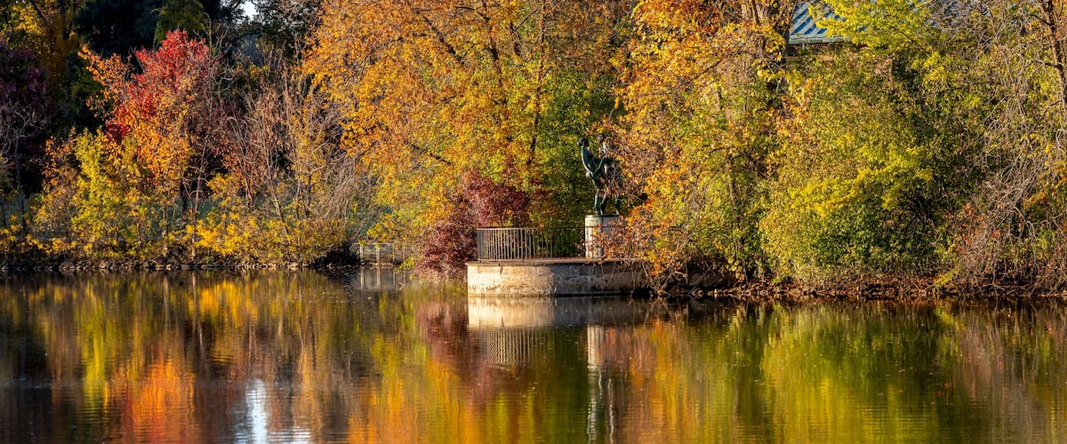 Panoramic view of tree reflections in autumn time at Cranbrook Gardens in Michigan.