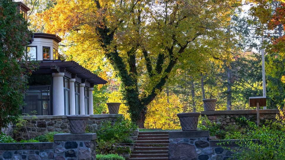 A stone staircase leading up to a building with a white facade and a black roof, surrounded by trees with autumn foliage.