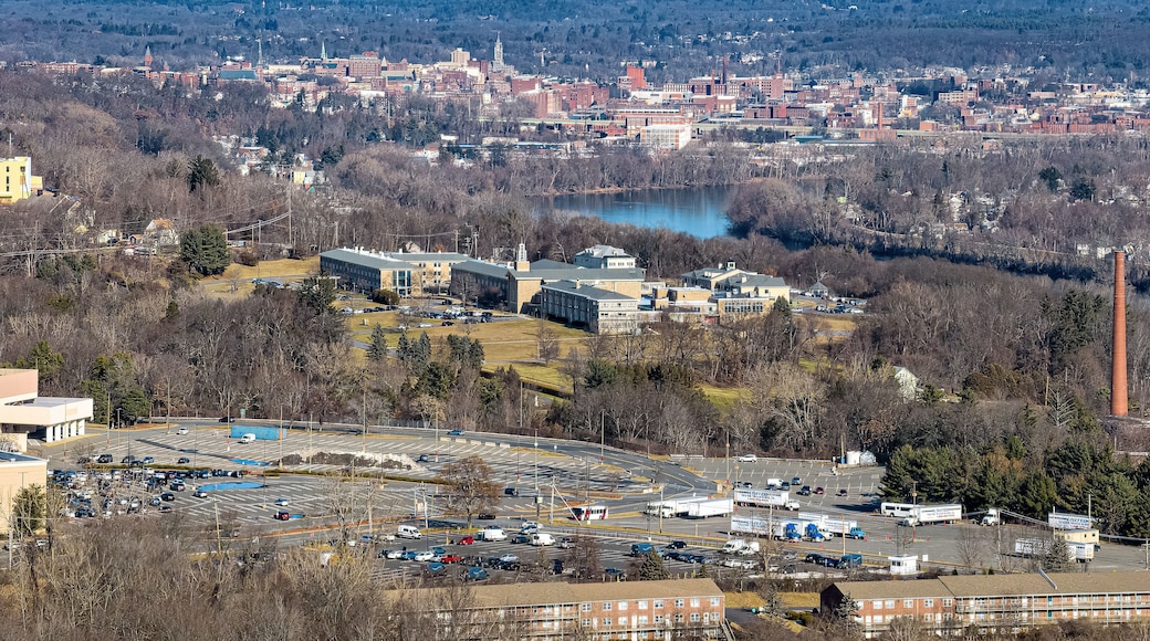 A cityscape with a large body of water, a prominent building with a tower, and a mountainous backdrop.